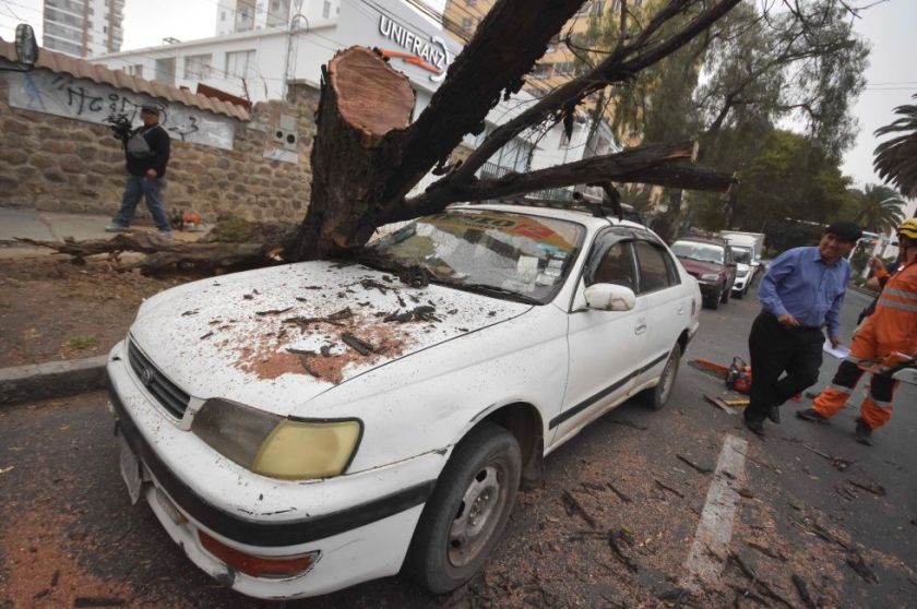 Cochabamba: Fuertes vientos provocan caída de árboles y daños en viviendas