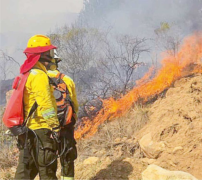 Incendios: “La mayoría fueron provocados”