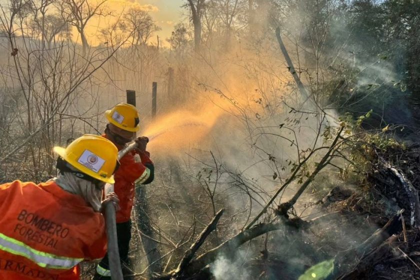 Defensoría pide activar COE ante riesgo de Súper Niño e incendios forestales