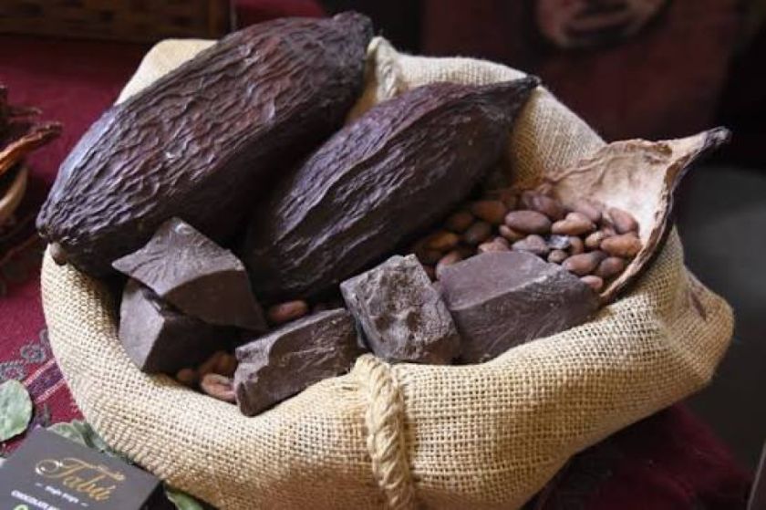 El Encuentro del Cacao Silvestre Boliviano se suspende hasta nuevo aviso
