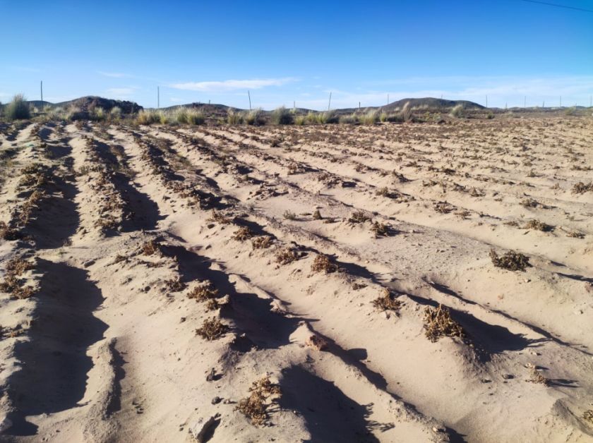 Gobierno anuncia entrega de más de 95.000 títulos agrarios