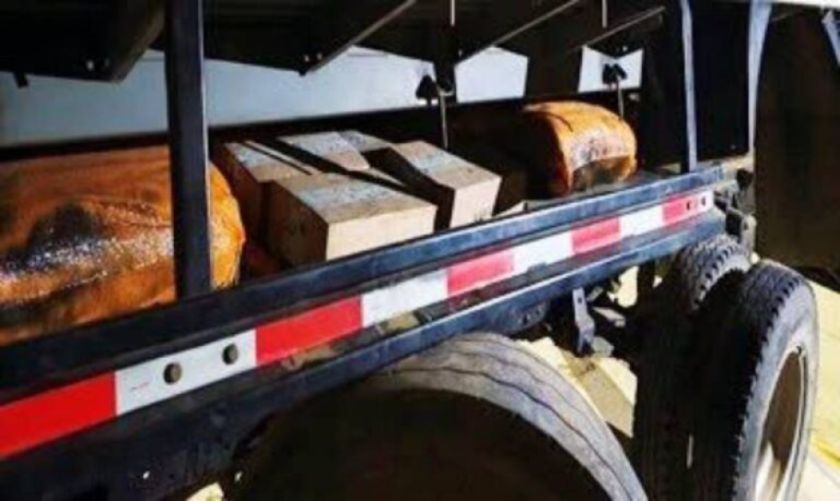 Oruro: Aprehenden a mujer que trasportaba varias sustancias ilícitas a Pisigua