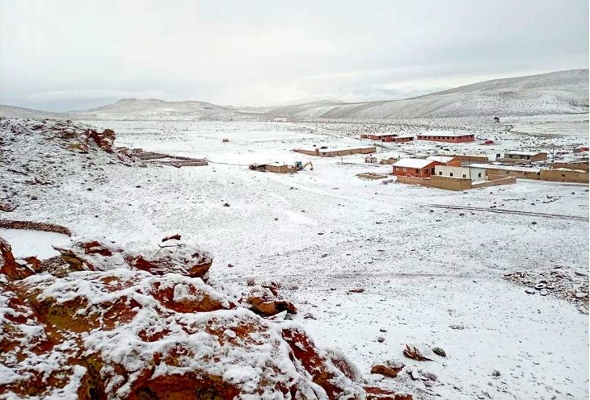 La nieve golpea a 123 comunidades  y se reporta la muerte de animales