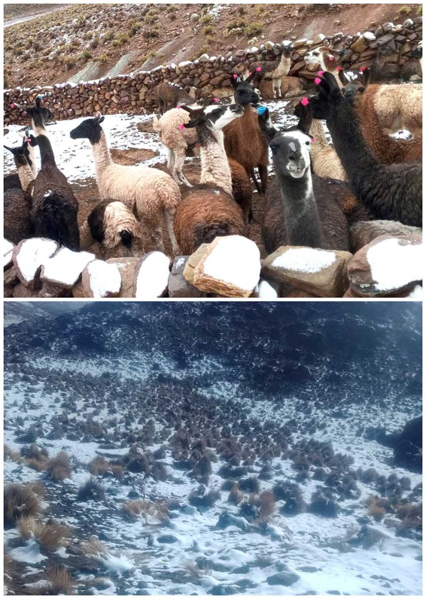Uyuni reporta, al menos, 15 comunidades afectadas
