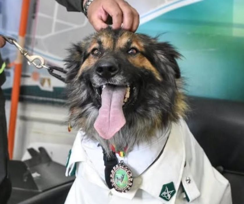 Rex protagoniza la misa para las mascotas en el Comando de Valle Bajo 