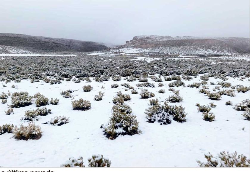 La nieve cayó en 78 comunidades de 20 municipios de Potosí