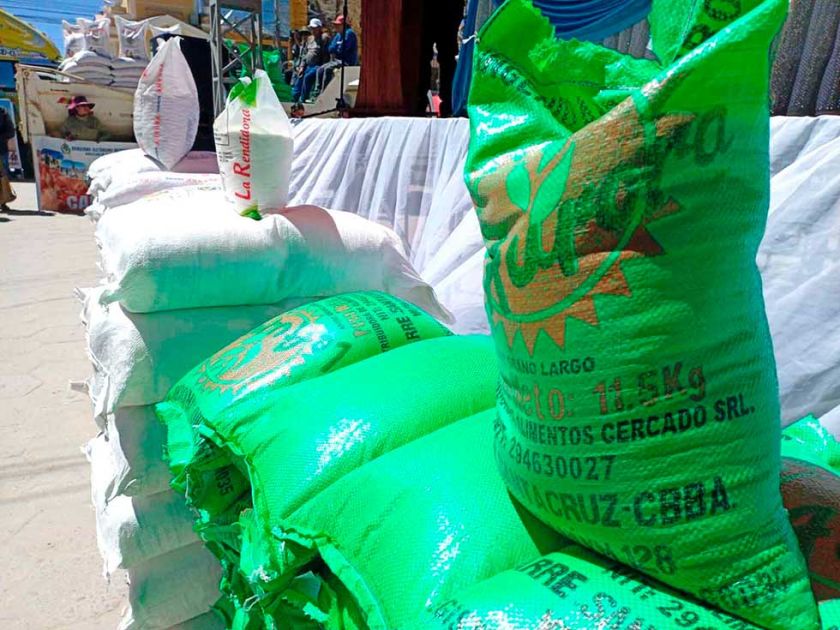 Potosí: Nevadas dejan más de 3.301 familias damnificadas