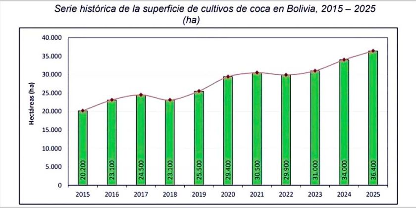 Cultivos de coca crecen 7% impulsados por el Trópico