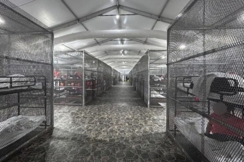 EEUU: Denuncian uso de jaulas y otros abusos a inmigrantes en el centro de detención Alligator Alcatraz