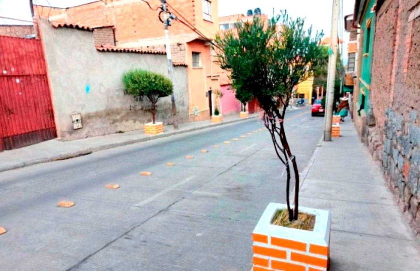 Plantarán 5.000 árboles para atenuar la contaminación