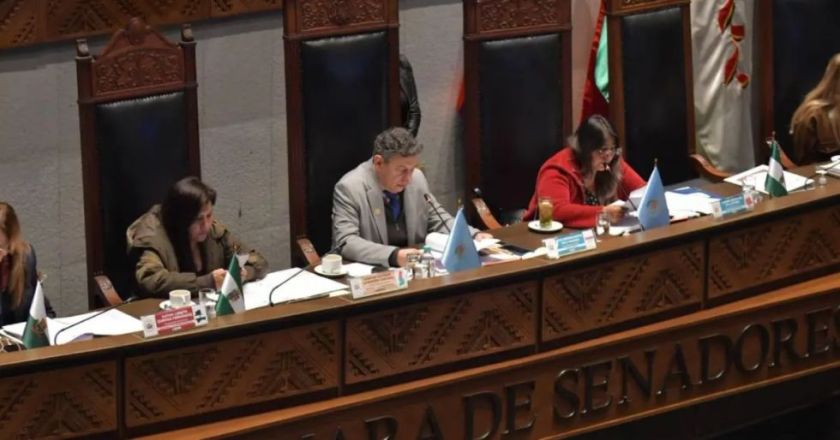 Senado aprueba crédito de $us 500 millones del BID para financiar la Renta Dignidad