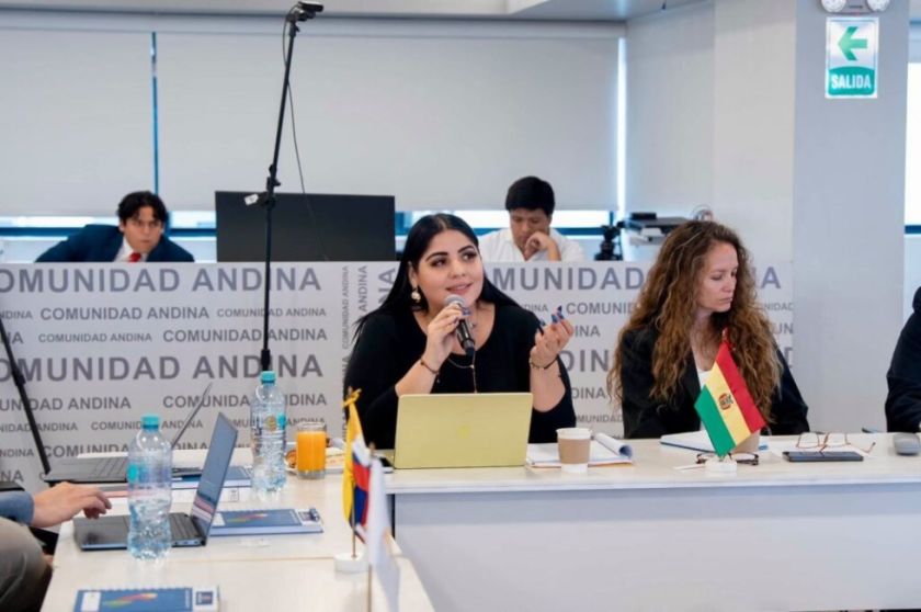 Bolivia participa en la validación Subregional de Preparación Inclusiva ante Desastres