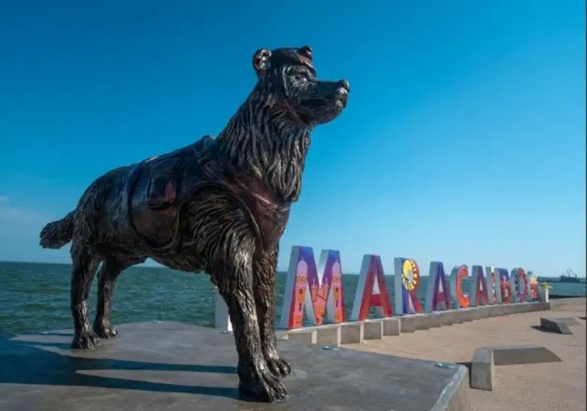 Venezuela: Rinden homenaje a Tsunami, el perro rescatista