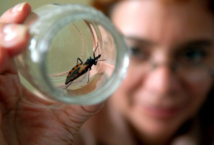 Ministerio de Salud presenta estudio que identifica una alternativa para tratar el Chagas