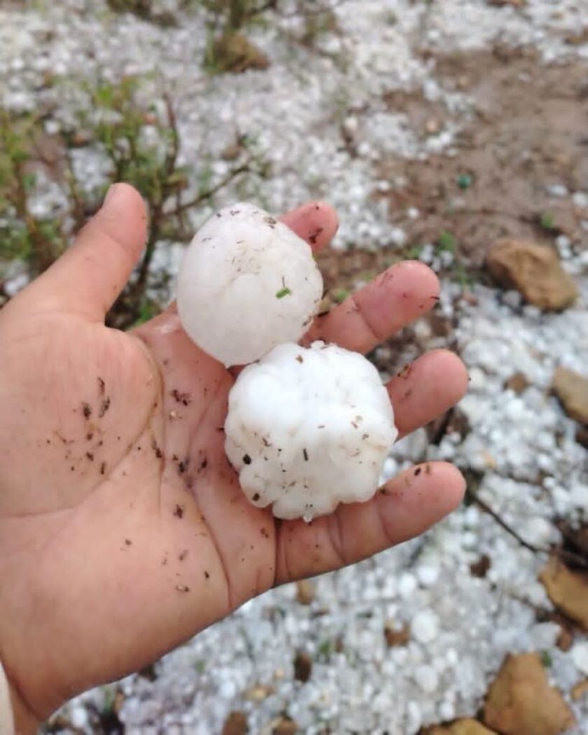 Intensa granizada causa daños en cultivos y comunidades de Chuquisaca