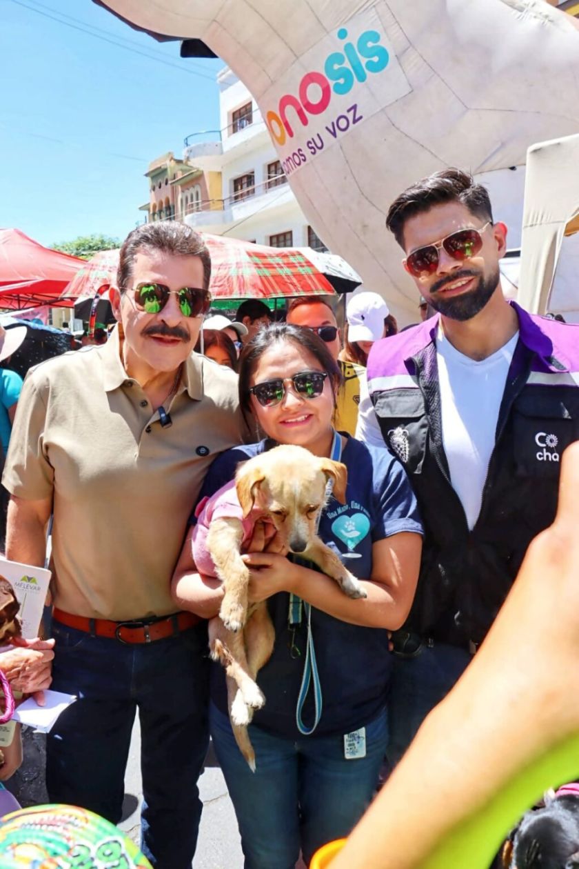 Cochabamba promulgó la Ley Municipal N.º 1930 en beneficio a los animales