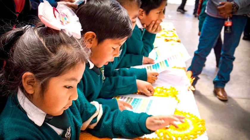 Evaluarán la calidad educativa en 44 establecimientos de Potosí