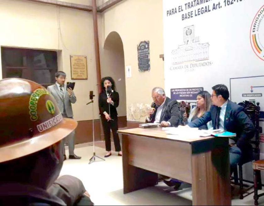 Exponen más  propuestas de  preservación  del Cerro Rico 