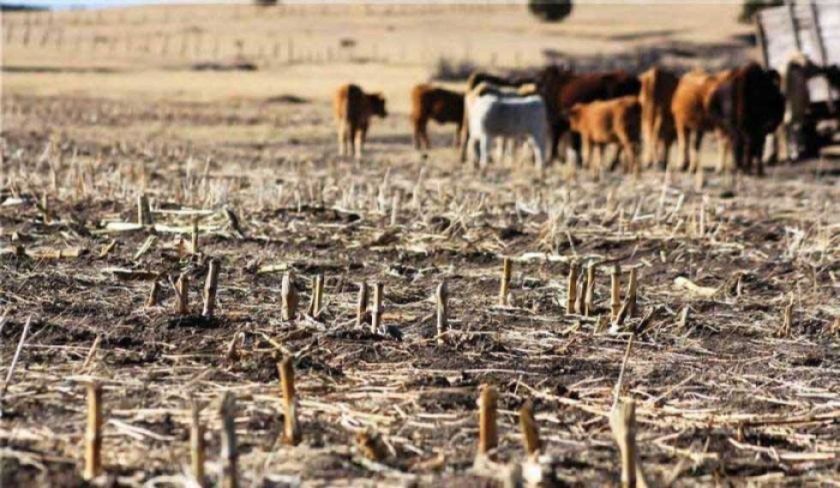 El viceministro de Desarrollo advierte sobre el fenómeno de El Niño y sequias en Potosí y Chuquisaca