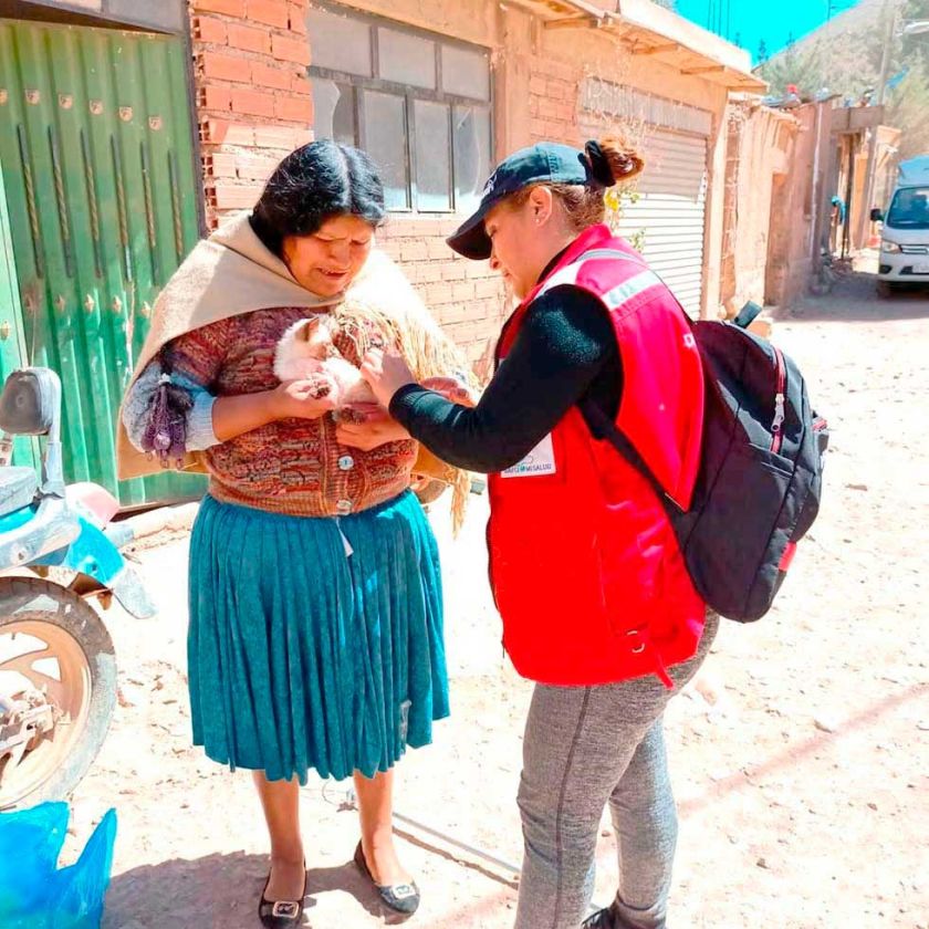 Sedes prevé inmunizar a 70.000 perros en el municipio de Potosí