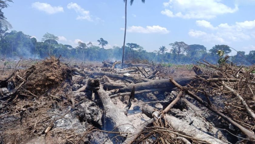 La ABT interviene actividades forestales ilegales en Beni