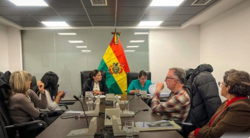 Comisión de Diputados impulsa medidas de protección de migrantes y seguridad fronteriza