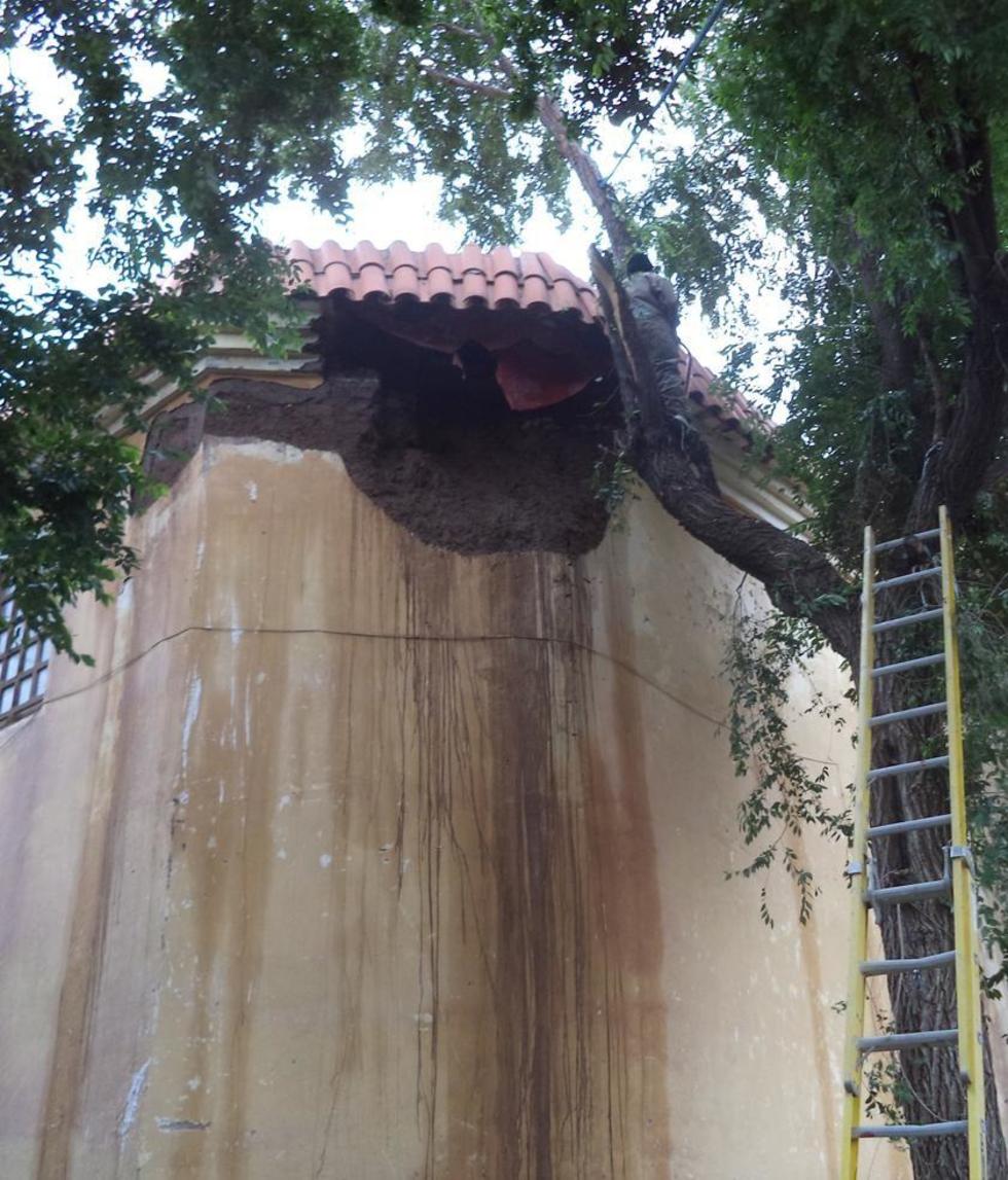 El gran hueco que el agua provocó en el sector donde está el árbol.