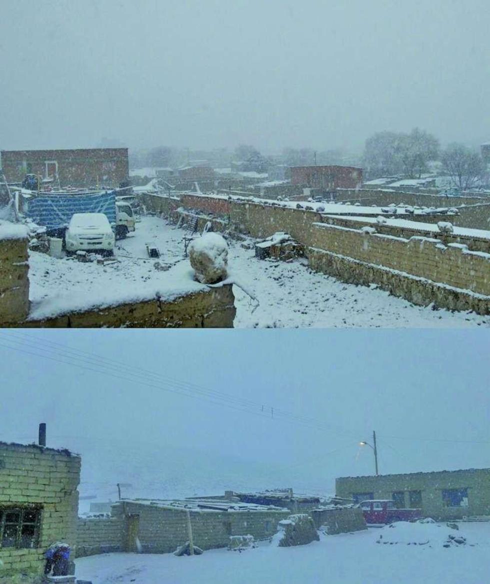 El paisaje que rodea a las viviendas se ha torna de blanco.