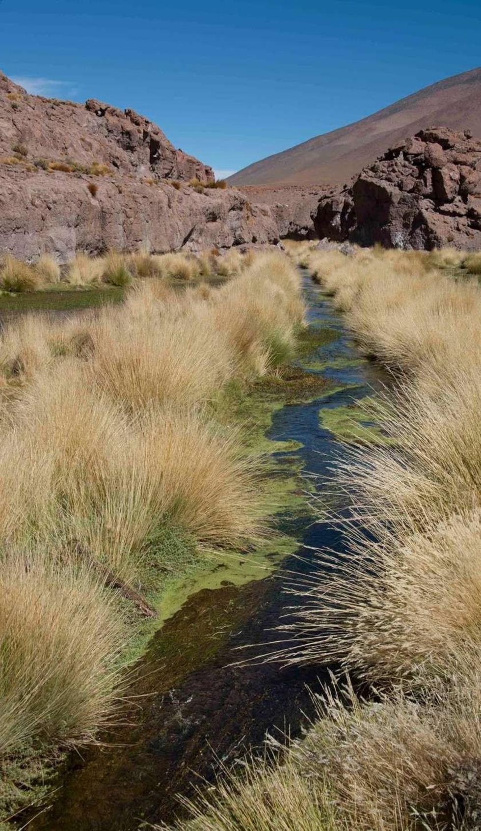 Las aguas de manantial se encuentran en territorio potosino.