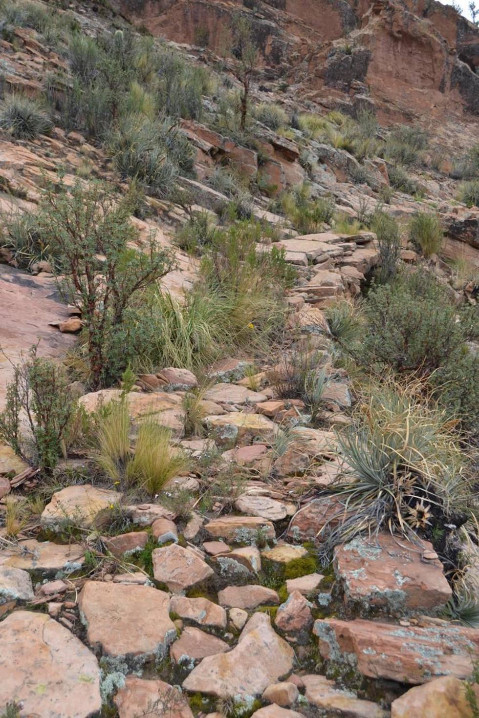 Uno de los sectores del antiguo sendero.