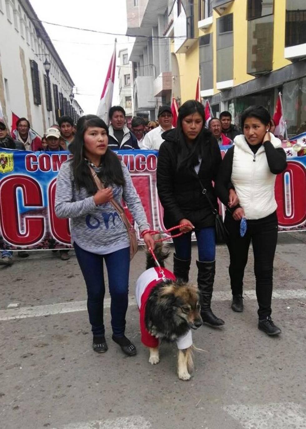 Cuestionaron el fallo del TCP con una marcha cívica en Potosí