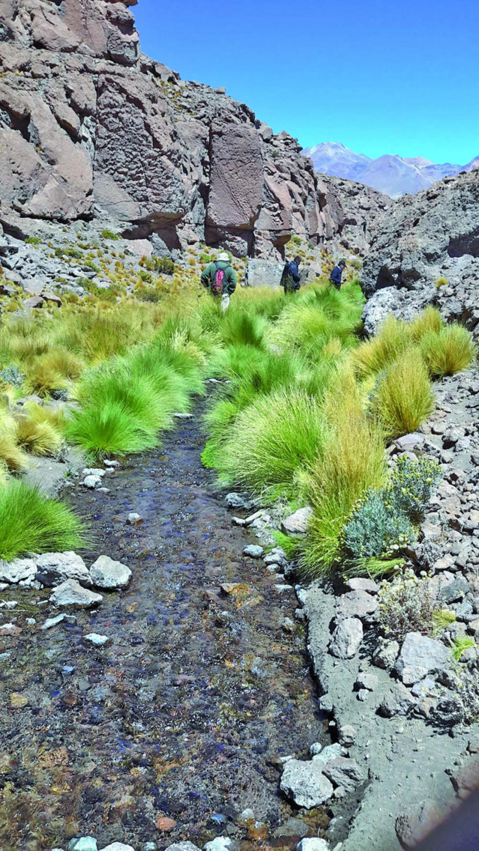 Las aguas que nacen en el Quetena solamente benefician a las mineras de Chile.
