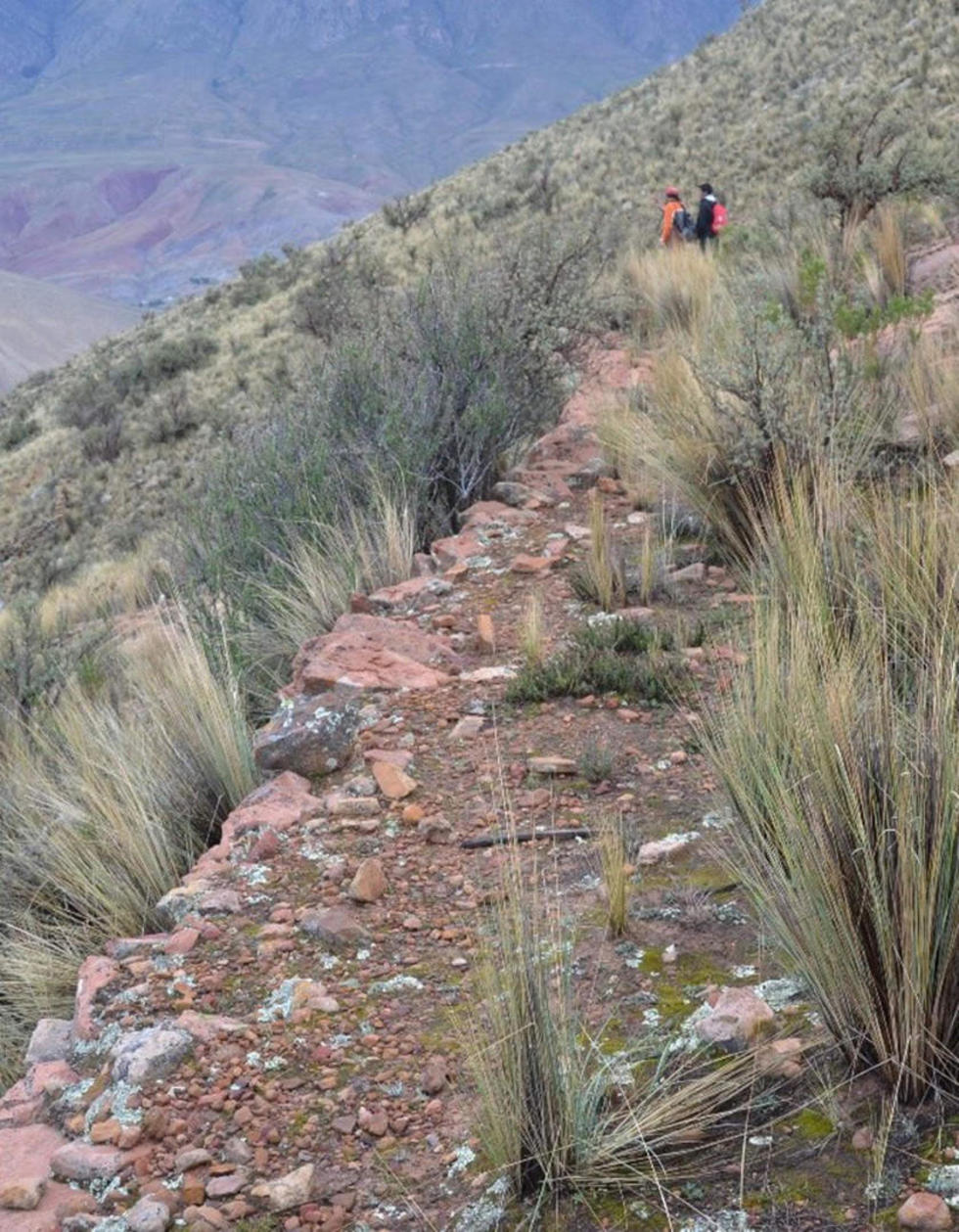 Un sector del camino del Inca cerca de La Puerta.