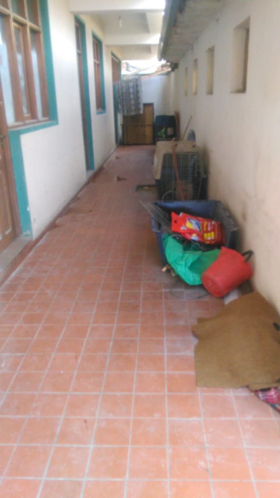 Estas son las condiciones de la perrera municipal.