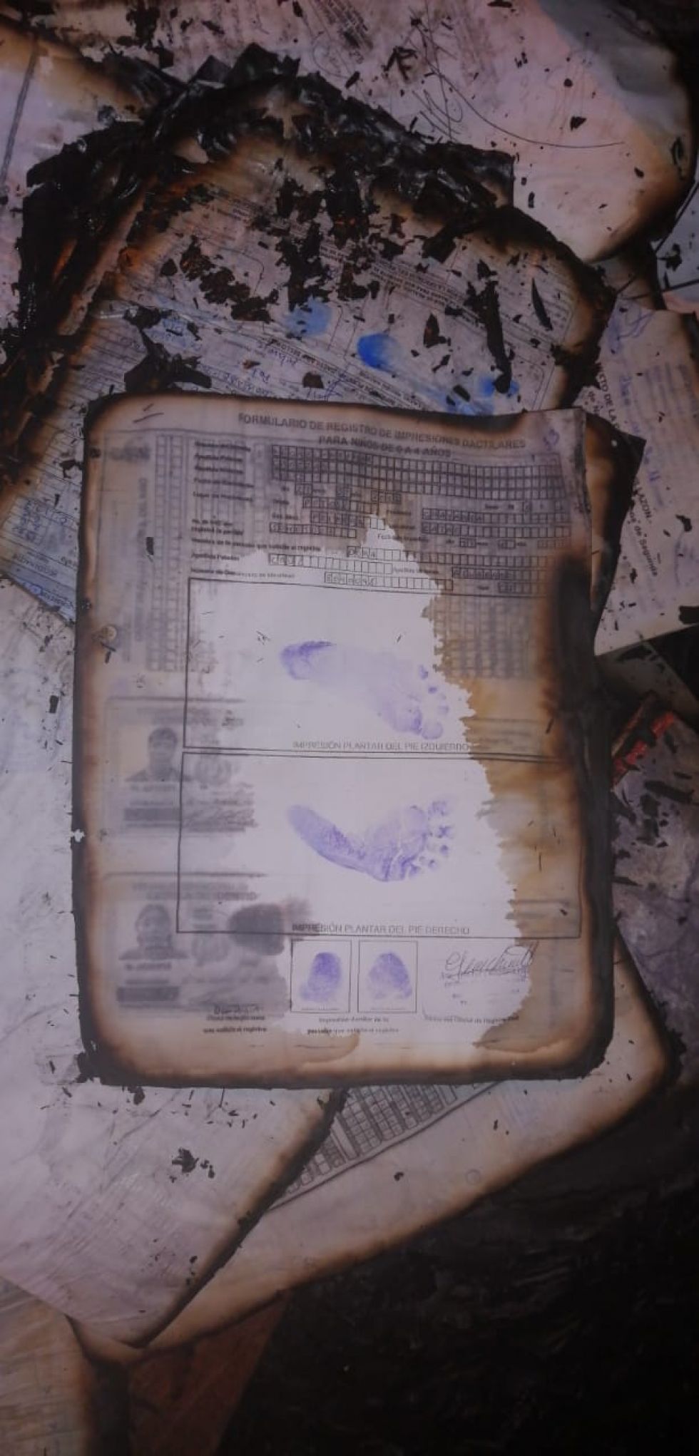 Documentos quemados.