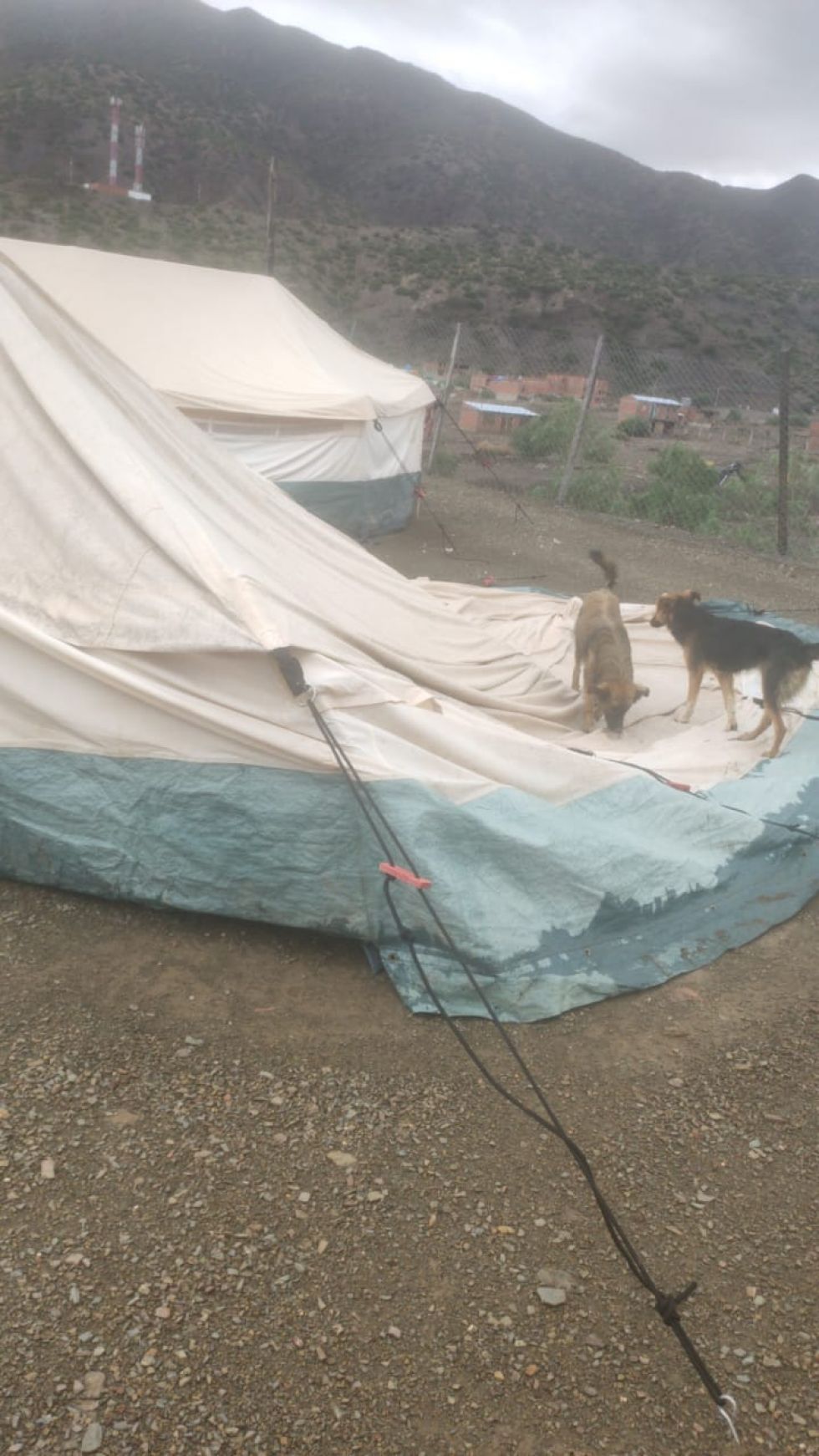 El agua entró a las carpas y algunas se cayeron.