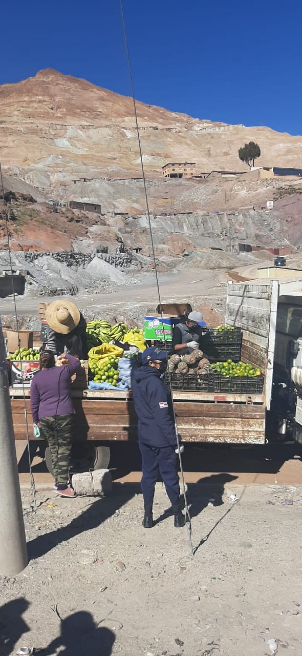 Implementarán esta modalidad de venta de productos en diferentes zonas.