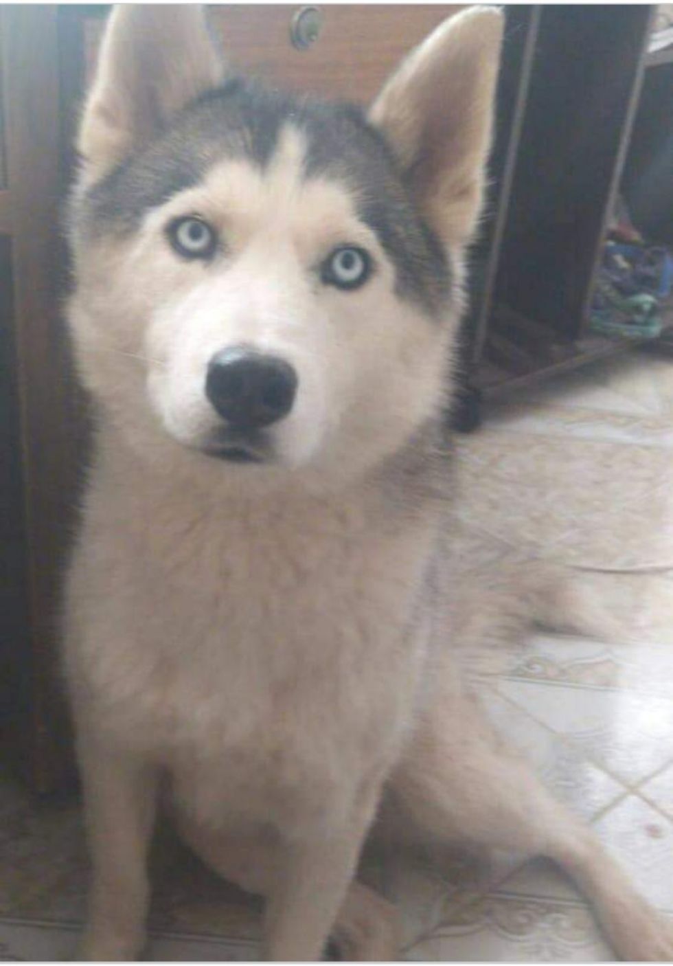 Enzo se perdió el 20 de mayo.