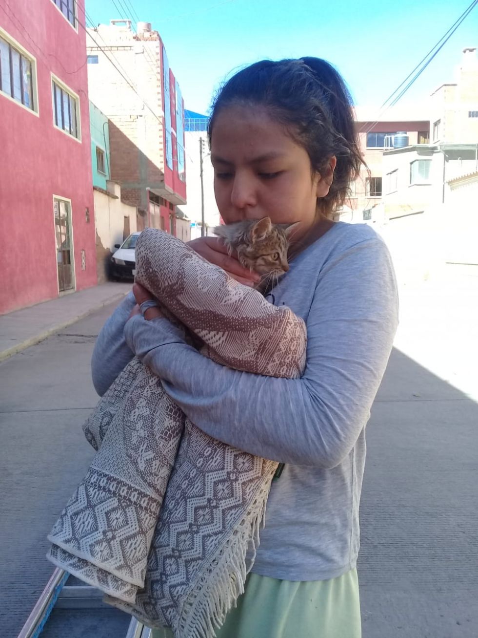 El gatito estaba en lo alto del poste.