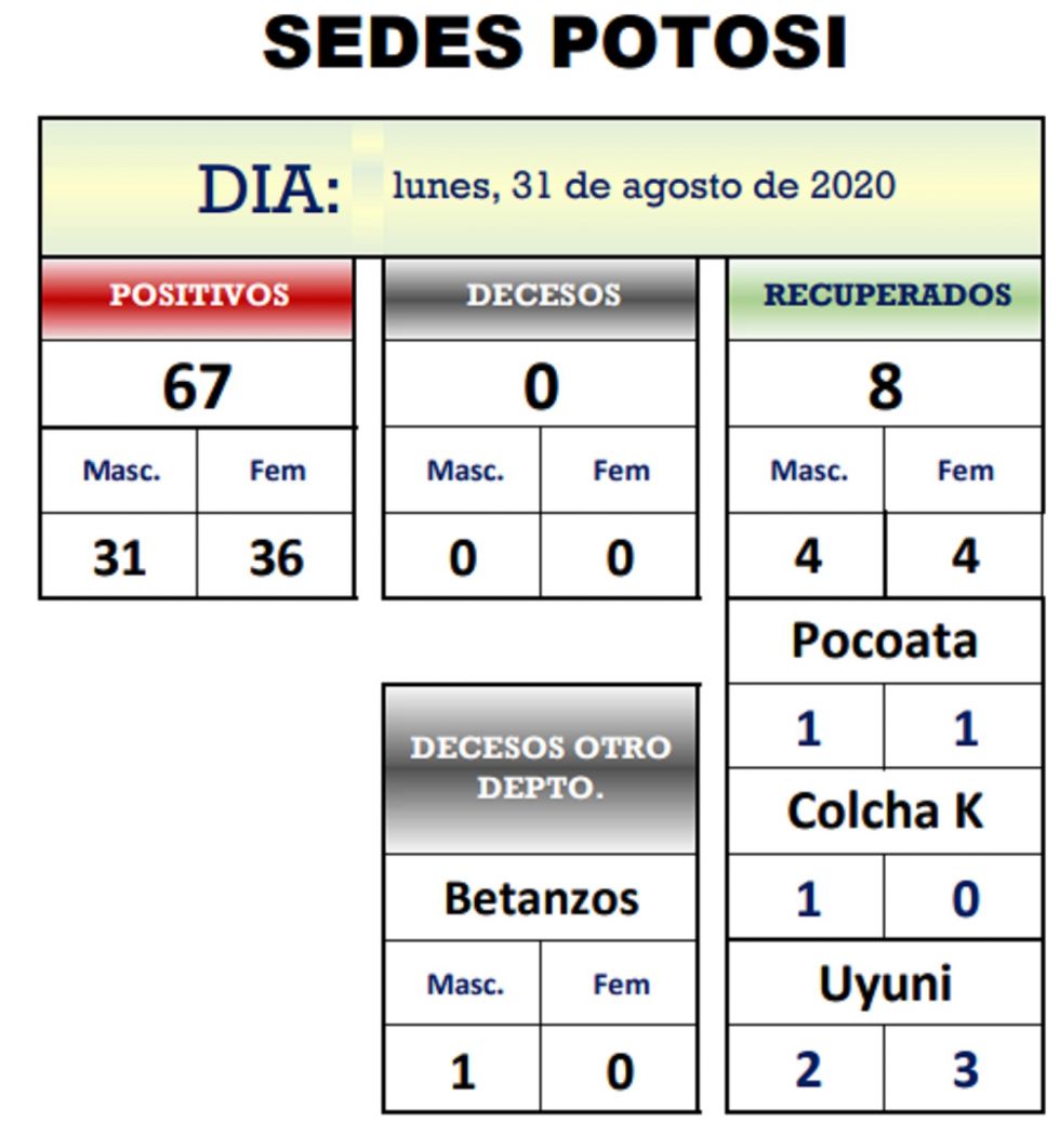 Reporte departamental del Sedes Potosí