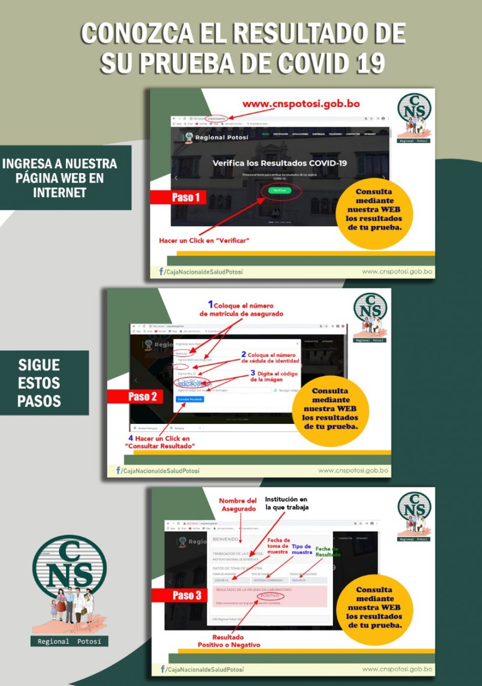 Los asegurados pueden acceder ingresando sus datos.