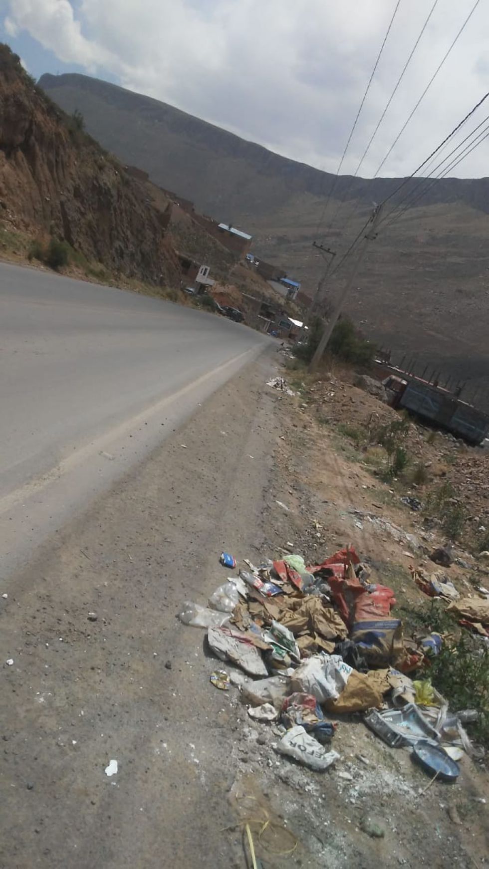 Realizaron la limpieza de los accesos de Oruro a Potosí
