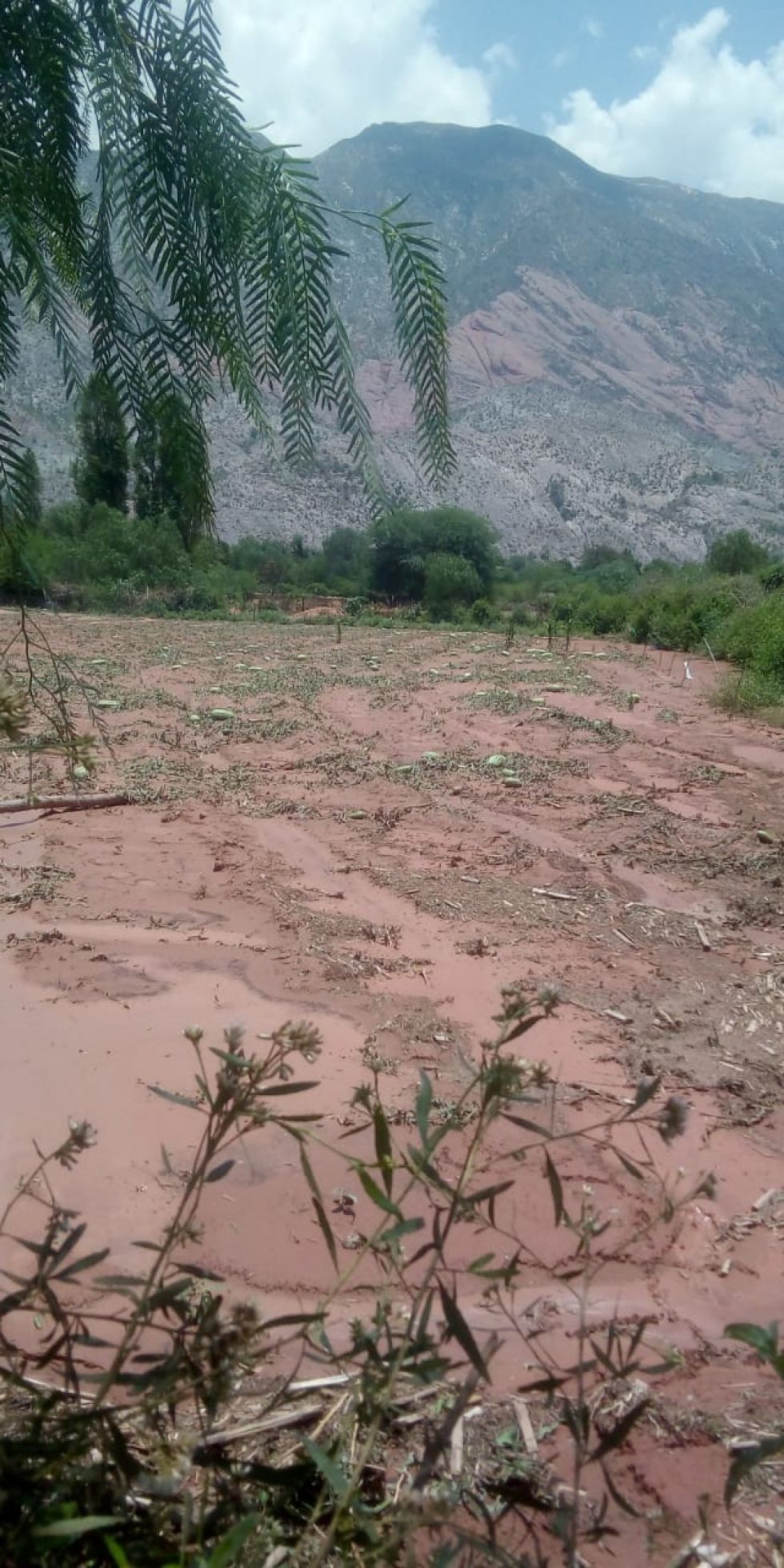 El granizo afectó varias comunidades en ambos municipios. FOTO JORGE PEÑARANDA
