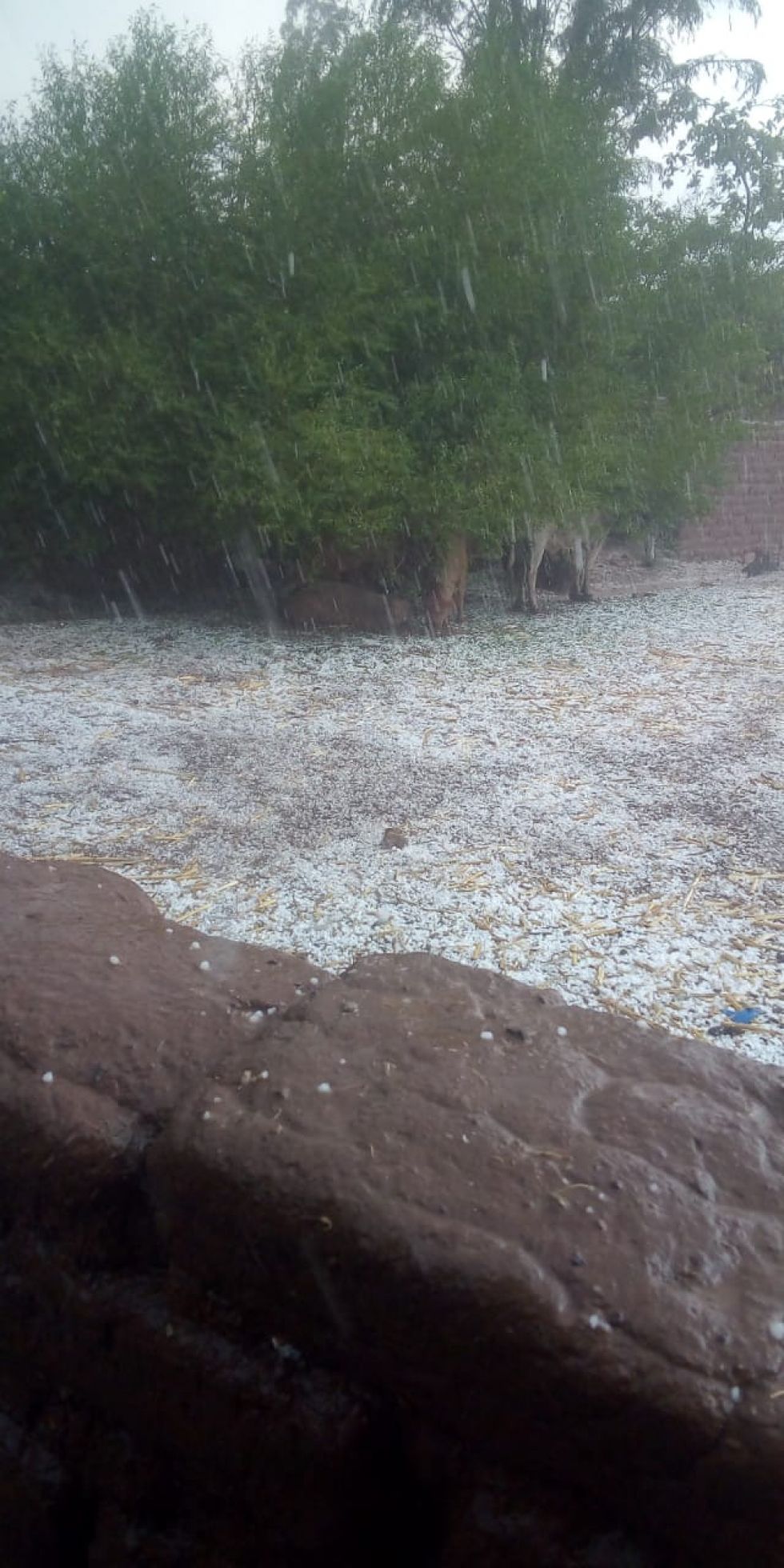 El granizo afectó varias comunidades en ambos municipios. FOTO JORGE PEÑARANDA