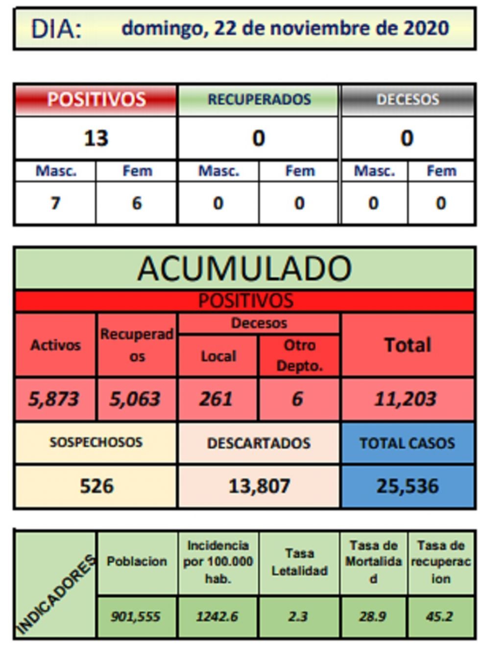 Reporte departamental del Sedes Potosí