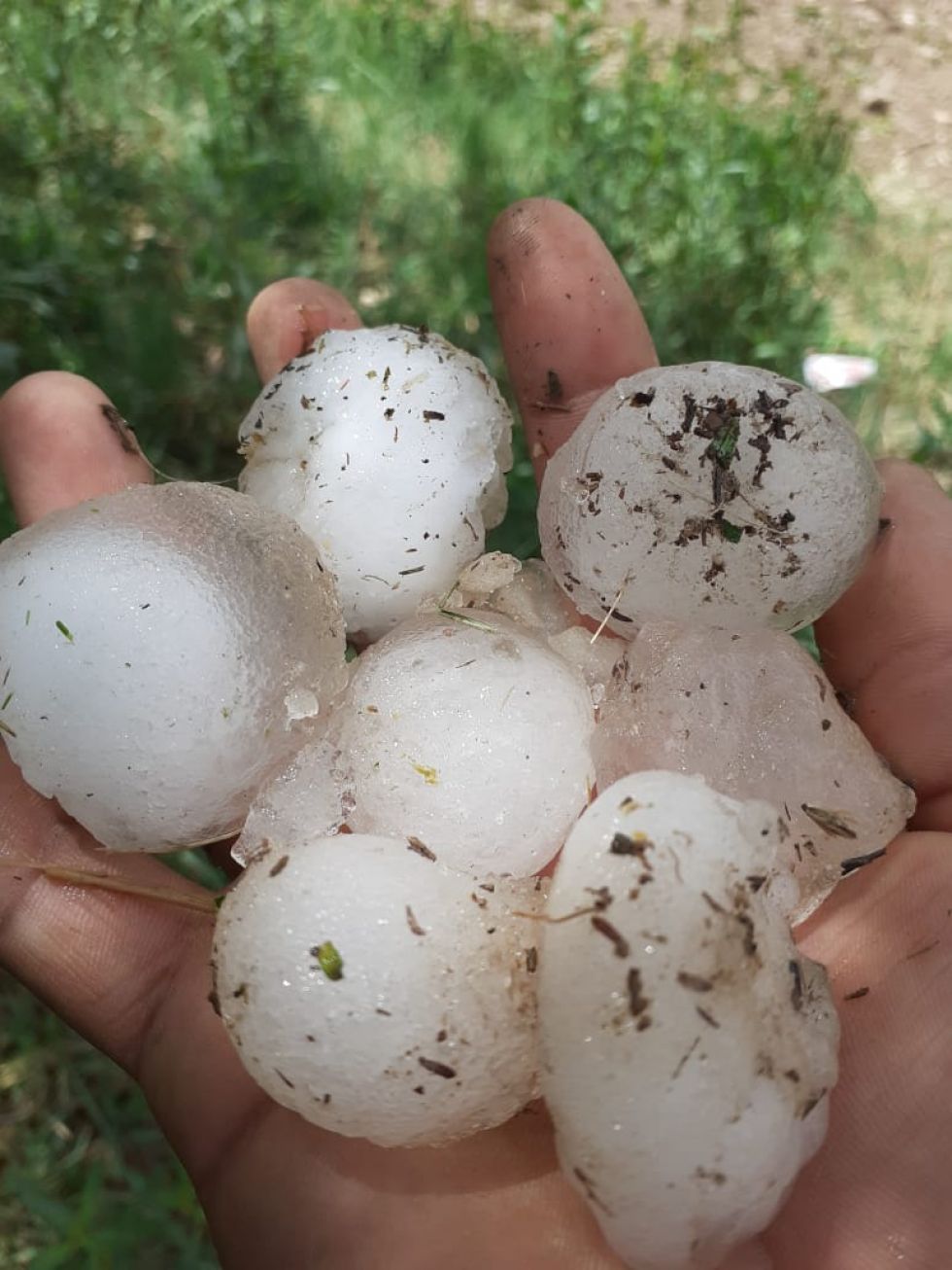 La granizada afectó viviendas, animales y cultivos en Tupiza