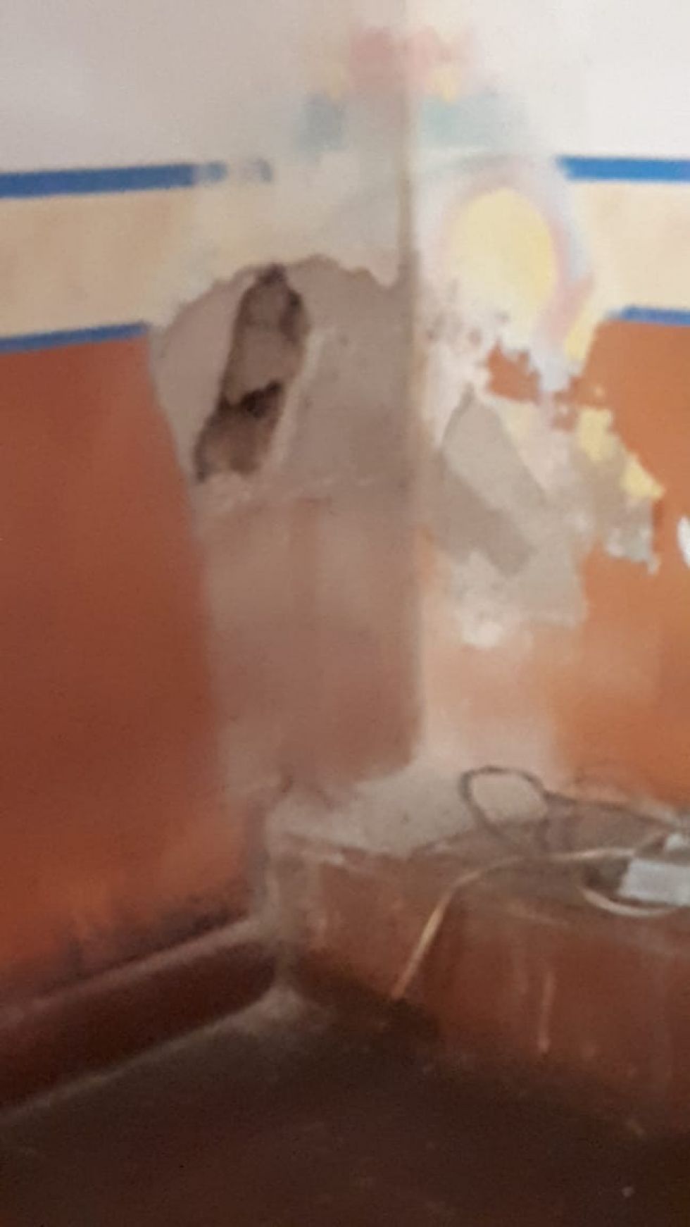 Imágenes de las inspecciones que han realizado.