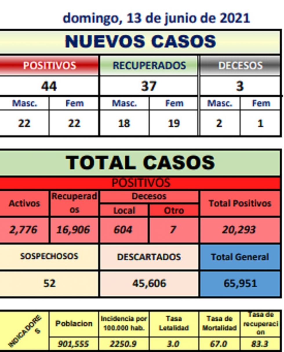 Reporte departamental del Sedes Potosí