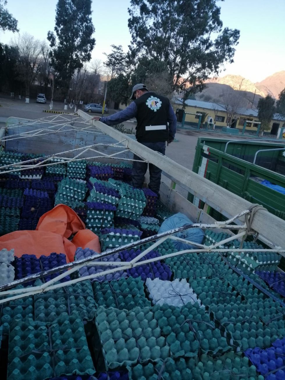 El trabajo se realizó en el sector de las Pampas de Mochará en Tupiza.
