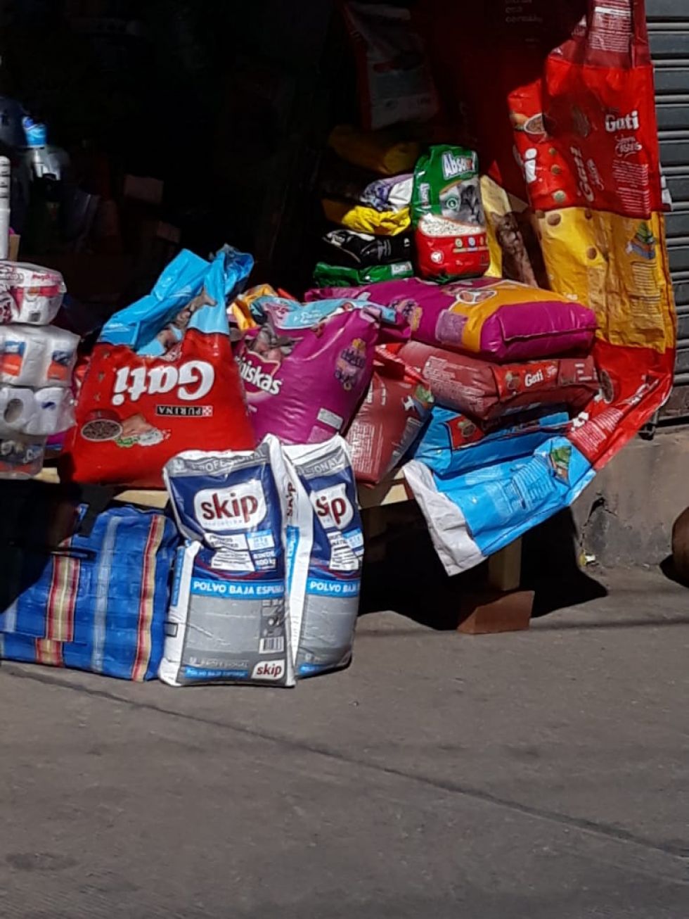 Alimentos para perros y gatos en diferentes zonas.